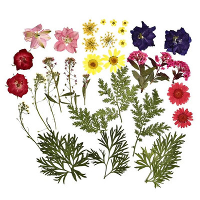 1 pakiranje osušenog cvijeća od UV smole, cvjetnih naljepnica, suhe ljepotice za ukrase za nakit za punjenje epoksi smolom 2020 Novo