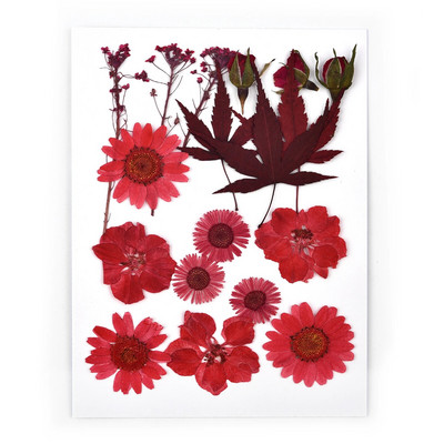 1 pakiranje osušenog cvijeća od UV smole, cvjetnih naljepnica, suhe ljepotice za ukrase za nakit za punjenje epoksi smolom 2020 Novo