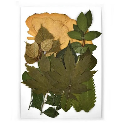 1 pakiranje osušenog cvijeća od UV smole, cvjetnih naljepnica, suhe ljepotice za ukrase za nakit za punjenje epoksi smolom 2020 Novo