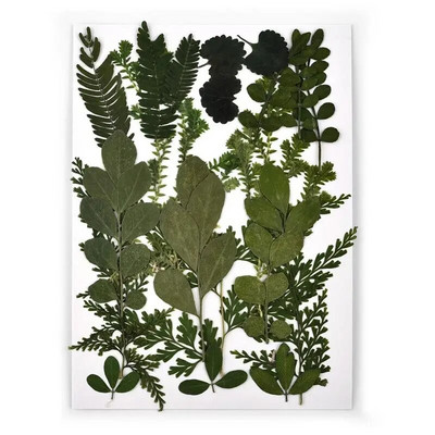 1 pakiranje osušenog cvijeća od UV smole, cvjetnih naljepnica, suhe ljepotice za ukrase za nakit za punjenje epoksi smolom 2020 Novo