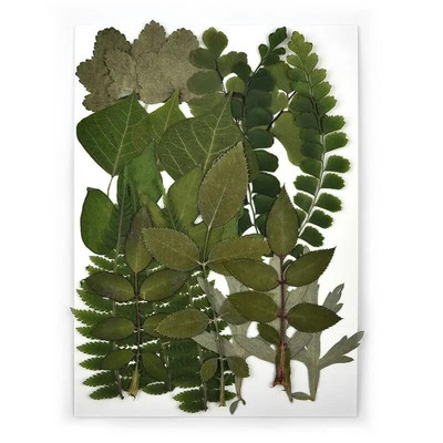 1 pakiranje osušenog cvijeća od UV smole, cvjetnih naljepnica, suhe ljepotice za ukrase za nakit za punjenje epoksi smolom 2020 Novo