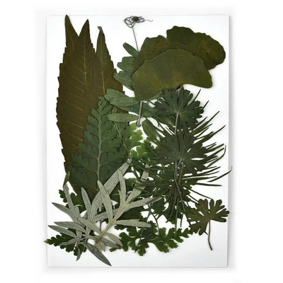 1 pakiranje osušenog cvijeća od UV smole, cvjetnih naljepnica, suhe ljepotice za ukrase za nakit za punjenje epoksi smolom 2020 Novo