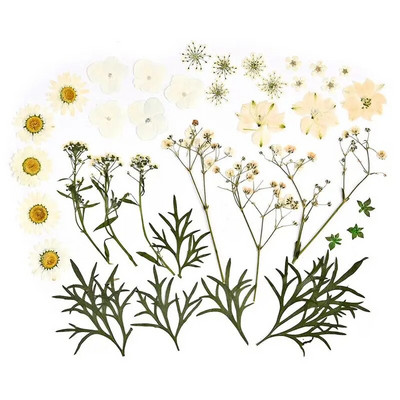 1 pakiranje osušenog cvijeća od UV smole, cvjetnih naljepnica, suhe ljepotice za ukrase za nakit za punjenje epoksi smolom 2020 Novo