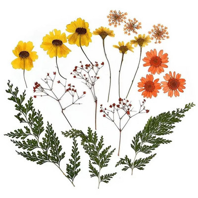 1 pakiranje osušenog cvijeća od UV smole, cvjetnih naljepnica, suhe ljepotice za ukrase za nakit za punjenje epoksi smolom 2020 Novo