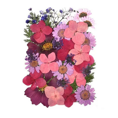 1 pakiranje osušenog cvijeća od UV smole, cvjetnih naljepnica, suhe ljepotice za ukrase za nakit za punjenje epoksi smolom 2020 Novo