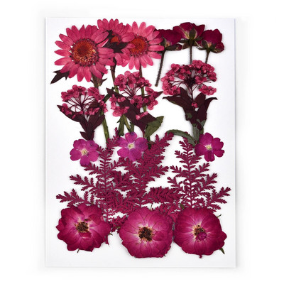 1 pakiranje osušenog cvijeća od UV smole, cvjetnih naljepnica, suhe ljepotice za ukrase za nakit za punjenje epoksi smolom 2020 Novo