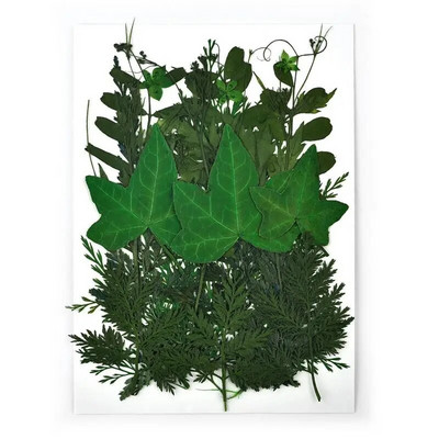 1 pakiranje osušenog cvijeća od UV smole, cvjetnih naljepnica, suhe ljepotice za ukrase za nakit za punjenje epoksi smolom 2020 Novo