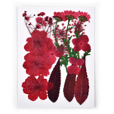 1 pakiranje osušenog cvijeća od UV smole, cvjetnih naljepnica, suhe ljepotice za ukrase za nakit za punjenje epoksi smolom 2020 Novo