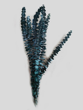 Сини листа от евкалипт Консервирани естествени изсушени цветя от евкалипт Аранжировка за декорация на дома Mariage Букет Направи си сам Епоксидна смола