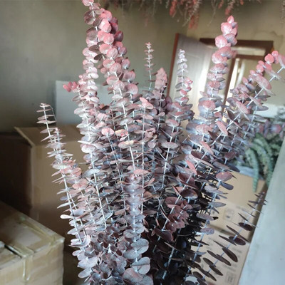 Očuvano lišće plavog eukaliptusa Prirodni osušeni cvjetni aranžman eukaliptusa Dekoracija doma Bračni buket Uradi sam epoksi smola