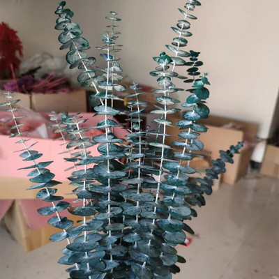 Očuvano lišće plavog eukaliptusa Prirodni osušeni cvjetni aranžman eukaliptusa Dekoracija doma Bračni buket Uradi sam epoksi smola