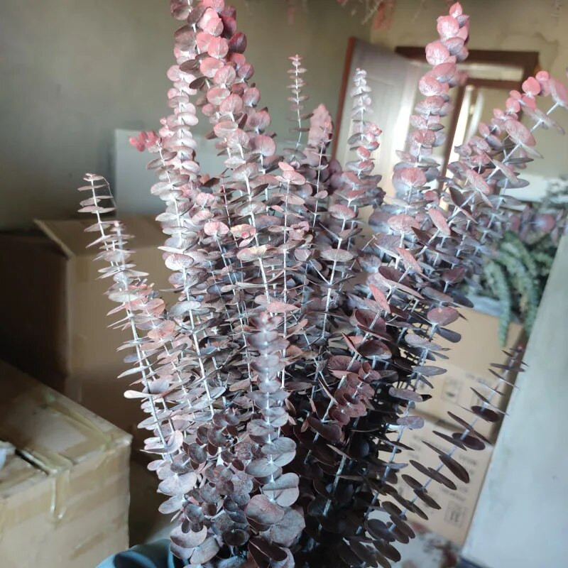 Očuvano lišće plavog eukaliptusa Prirodni osušeni cvjetni aranžman eukaliptusa Dekoracija doma Bračni buket Uradi sam epoksi smola