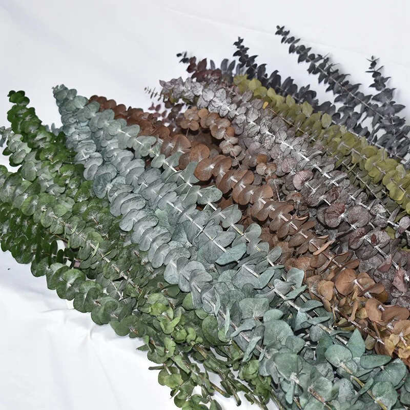 Očuvano lišće plavog eukaliptusa Prirodni osušeni cvjetni aranžman eukaliptusa Dekoracija doma Bračni buket Uradi sam epoksi smola