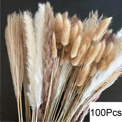 Pampas Grass Decor Boho Home Decor Buket Prirodno pahuljasto osušeno cvijeće za vjenčanje Cvjetni aranžmani Zid Seoska kuća Stol Dec