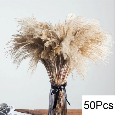Pampas Grass Decor Boho Home Decor Buket Prirodno pahuljasto osušeno cvijeće za vjenčanje Cvjetni aranžmani Zid Seoska kuća Stol Dec