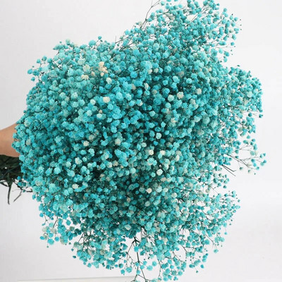 100 g prirodnih osušenih cvjetova gipsofile, dječiji dah, buketi, cvjetne grane gipsofile za uređenje doma, vjenčani vijenac, ukras