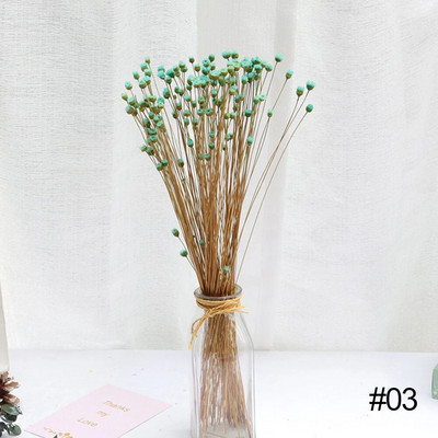 50 gab. Žāvētu ziedu pušķis Sausie Ziedi Priecīgie Ziedi Maza Prese Mini Dekoratīvā fotogrāfija Fotoattēlu fona dekors