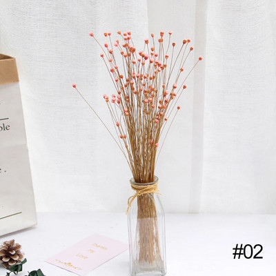 50 gab. Žāvētu ziedu pušķis Sausie Ziedi Priecīgie Ziedi Maza Prese Mini Dekoratīvā fotogrāfija Fotoattēlu fona dekors