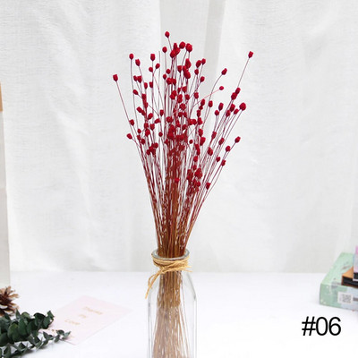 50 gab. Žāvētu ziedu pušķis Sausie Ziedi Priecīgie Ziedi Maza Prese Mini Dekoratīvā fotogrāfija Fotoattēlu fona dekors