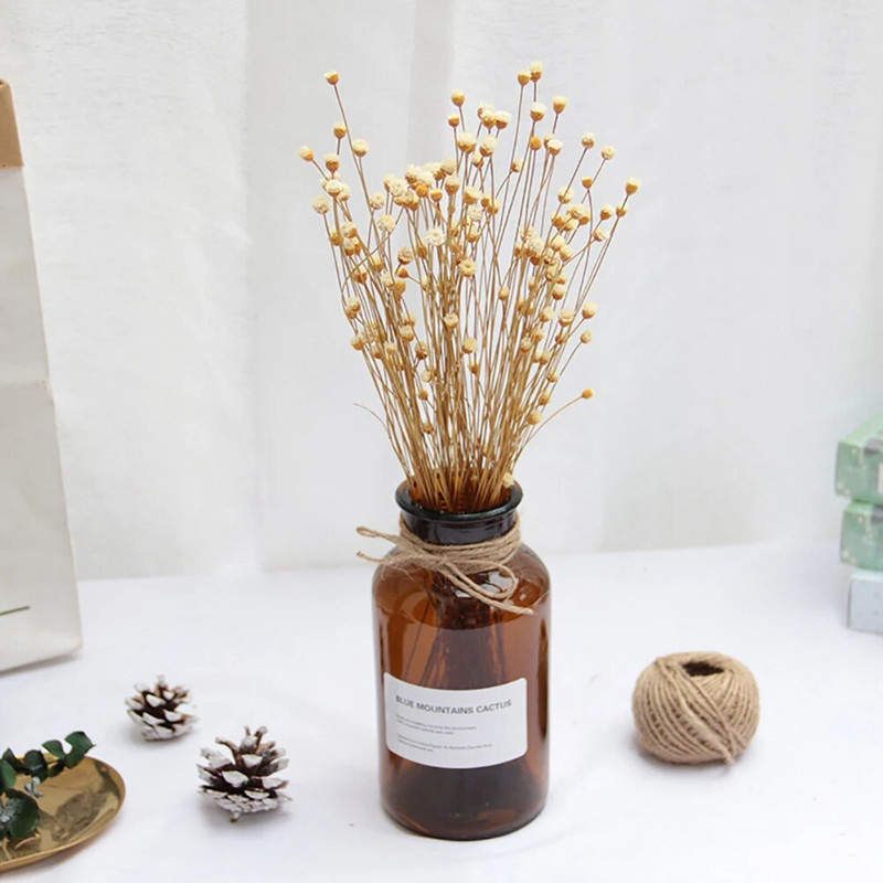 50 gab. Žāvētu ziedu pušķis Sausie Ziedi Priecīgie Ziedi Maza Prese Mini Dekoratīvā fotogrāfija Fotoattēlu fona dekors