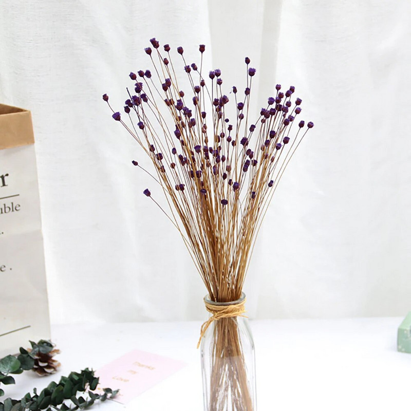 50 gab. Žāvētu ziedu pušķis Sausie Ziedi Priecīgie Ziedi Maza Prese Mini Dekoratīvā fotogrāfija Fotoattēlu fona dekors