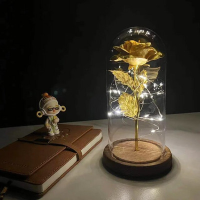 Vruća LED začarana ruža galaksije Vječna ruža Ljepotica i zvijer s bajkovitim svjetlima u kupoli za božićni poklon za Valentinovo