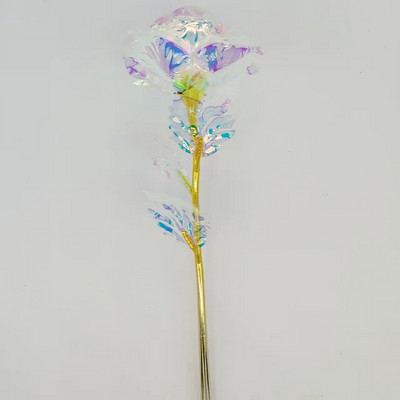 Vruća LED začarana ruža galaksije Vječna ruža Ljepotica i zvijer s bajkovitim svjetlima u kupoli za božićni poklon za Valentinovo