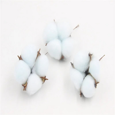 6 komada prirodnih osušenih cvjetova Šarene pamučne cvjetne glavice Kapok Pamuk DIY Božićni vijenci Materijali Uređenje doma Potrepštine za zabave