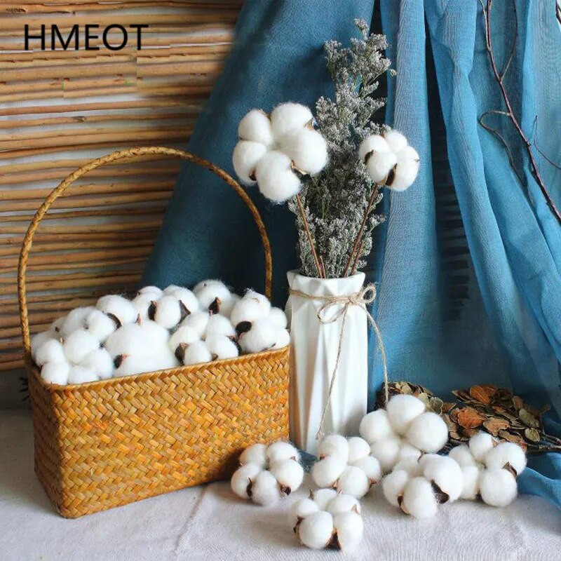 6 komada prirodnih osušenih cvjetova Šarene pamučne cvjetne glavice Kapok Pamuk DIY Božićni vijenci Materijali Uređenje doma Potrepštine za zabave