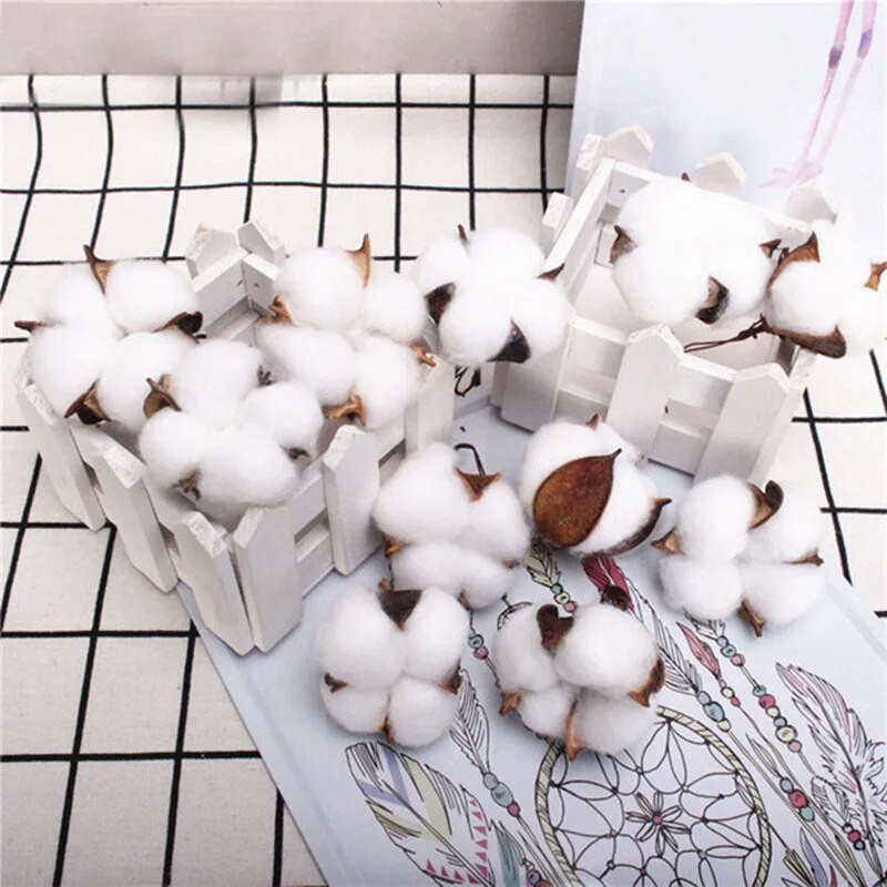 6 komada prirodnih osušenih cvjetova Šarene pamučne cvjetne glavice Kapok Pamuk DIY Božićni vijenci Materijali Uređenje doma Potrepštine za zabave