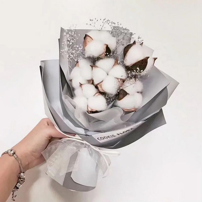 6 komada prirodnih osušenih cvjetova Šarene pamučne cvjetne glavice Kapok Pamuk DIY Božićni vijenci Materijali Uređenje doma Potrepštine za zabave