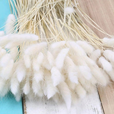 120 kom suhog cvijeća, zečji rep, boho dekor, prirodni zečji repovi, travnati dekor, umjetni lagurus ovatus za vjenčanje, dekoracija doma