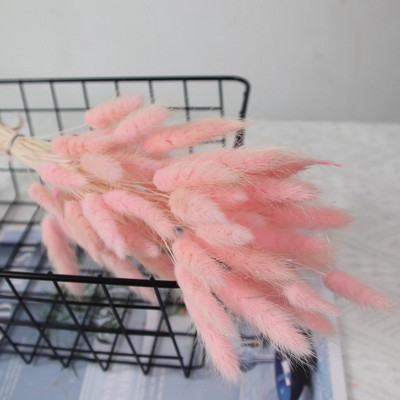 120 kom suhog cvijeća, zečji rep, boho dekor, prirodni zečji repovi, travnati dekor, umjetni lagurus ovatus za vjenčanje, dekoracija doma