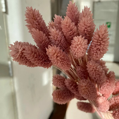 120 kom suhog cvijeća, zečji rep, boho dekor, prirodni zečji repovi, travnati dekor, umjetni lagurus ovatus za vjenčanje, dekoracija doma