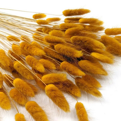 120 kom suhog cvijeća, zečji rep, boho dekor, prirodni zečji repovi, travnati dekor, umjetni lagurus ovatus za vjenčanje, dekoracija doma