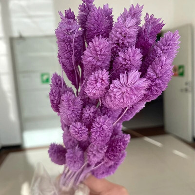 120 kom suhog cvijeća, zečji rep, boho dekor, prirodni zečji repovi, travnati dekor, umjetni lagurus ovatus za vjenčanje, dekoracija doma