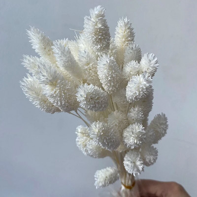 120 kom suhog cvijeća, zečji rep, boho dekor, prirodni zečji repovi, travnati dekor, umjetni lagurus ovatus za vjenčanje, dekoracija doma