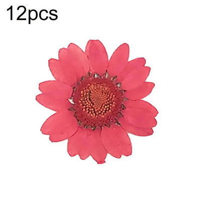 Epoksīda sveķi 12 gab. Dabiski augi Presēti Presēti Žāvēti Margrietiņas Sausie Ziedi Nagu māksla Tālruņa dekorēšana Amatniecības izgatavošana DIY aksesuāri