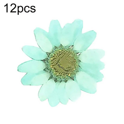 Epoksīda sveķi 12 gab. Dabiski augi Presēti Presēti Žāvēti Margrietiņas Sausie Ziedi Nagu māksla Tālruņa dekorēšana Amatniecības izgatavošana DIY aksesuāri