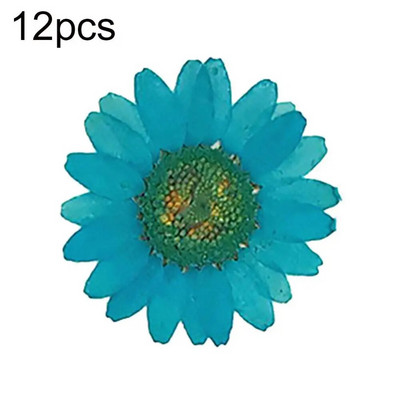 Epoksīda sveķi 12 gab. Dabiski augi Presēti Presēti Žāvēti Margrietiņas Sausie Ziedi Nagu māksla Tālruņa dekorēšana Amatniecības izgatavošana DIY aksesuāri