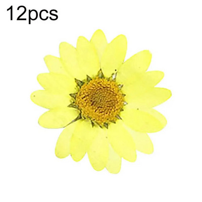 Epoksīda sveķi 12 gab. Dabiski augi Presēti Presēti Žāvēti Margrietiņas Sausie Ziedi Nagu māksla Tālruņa dekorēšana Amatniecības izgatavošana DIY aksesuāri