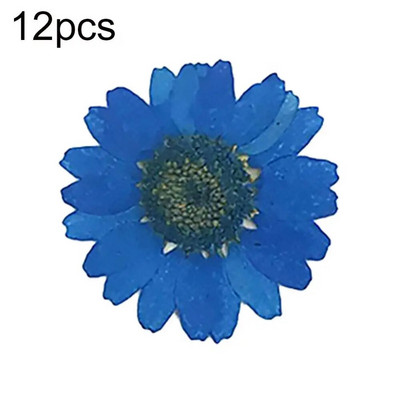 Epoksīda sveķi 12 gab. Dabiski augi Presēti Presēti Žāvēti Margrietiņas Sausie Ziedi Nagu māksla Tālruņa dekorēšana Amatniecības izgatavošana DIY aksesuāri