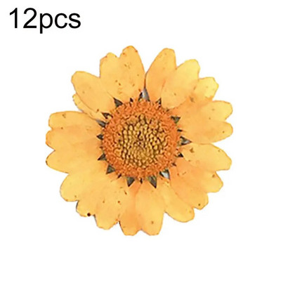 Epoksīda sveķi 12 gab. Dabiski augi Presēti Presēti Žāvēti Margrietiņas Sausie Ziedi Nagu māksla Tālruņa dekorēšana Amatniecības izgatavošana DIY aksesuāri