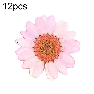 Epoksīda sveķi 12 gab. Dabiski augi Presēti Presēti Žāvēti Margrietiņas Sausie Ziedi Nagu māksla Tālruņa dekorēšana Amatniecības izgatavošana DIY aksesuāri