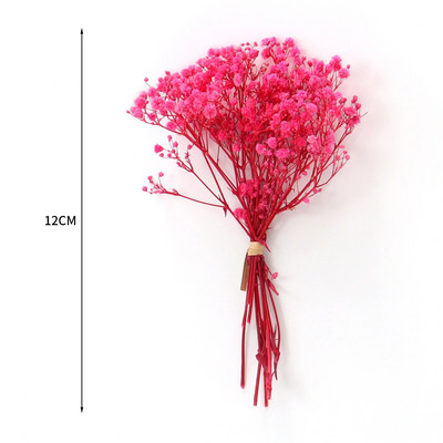 Mini Gypsophila konservētu dabīgu kaltētu ziedu pušķis Babysbreath mājas kāzu dekorēšanai fotogrāfiju fona dekors