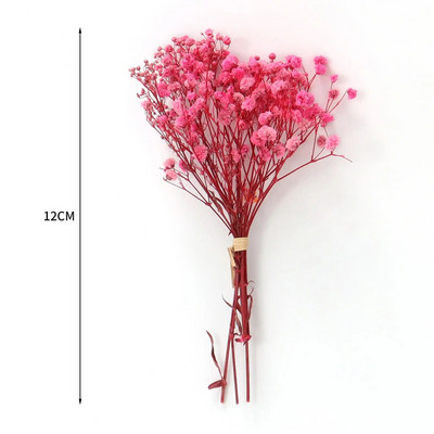 Mini Gypsophila konservētu dabīgu kaltētu ziedu pušķis Babysbreath mājas kāzu dekorēšanai fotogrāfiju fona dekors