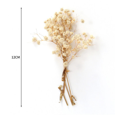 Mini Gypsophila konservētu dabīgu kaltētu ziedu pušķis Babysbreath mājas kāzu dekorēšanai fotogrāfiju fona dekors