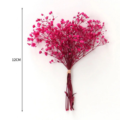 Mini Gypsophila konservētu dabīgu kaltētu ziedu pušķis Babysbreath mājas kāzu dekorēšanai fotogrāfiju fona dekors