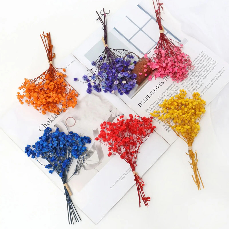 Mini Gypsophila konservētu dabīgu kaltētu ziedu pušķis Babysbreath mājas kāzu dekorēšanai fotogrāfiju fona dekors