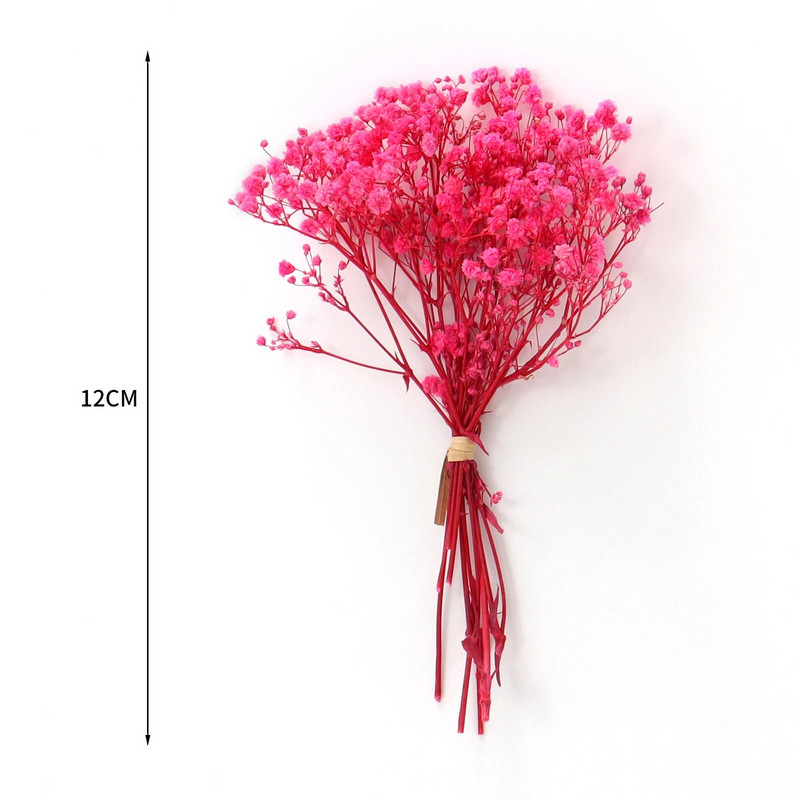 Mini Gypsophila konservētu dabīgu kaltētu ziedu pušķis Babysbreath mājas kāzu dekorēšanai fotogrāfiju fona dekors